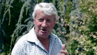 Unsere Painer Produkte - Die Ordynkeramik