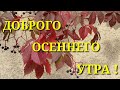 С добрым осенним утром! С добрым осенним днём! Красивая музыкальная открытка!