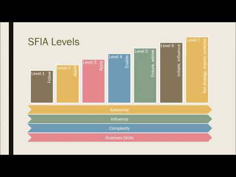 IT-CMF and the Skills Framework for the Information Age (SFIA)