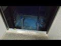 Падение в шахту лифта это не безопасно для жизни, убедись в наличии кабины на этаже