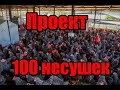 Проект 100 несушек!! Выгодно ли держать кур на яйца!! От яйца до курицы!! Часть первая вводная!