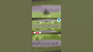 🌿 تلاوة خاشعة تهز القلوب | القرآن يُتلى كما لم تسمعه من قبل |راحة وطمأنينة 🌙#قرآن #قرآن_كريم #quran