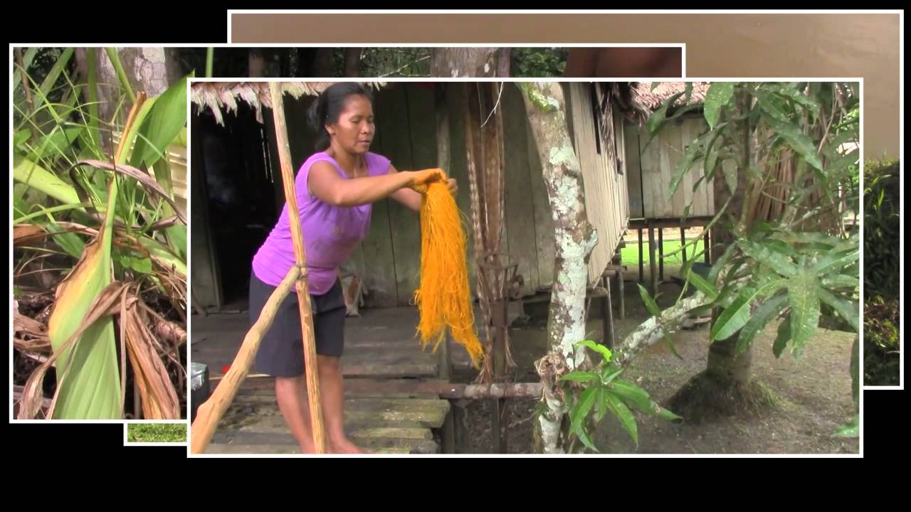 Heartcraft - the art and spirit of artisans from the Peruvian Amazon