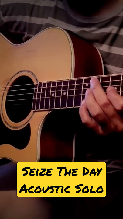 Avenged Sevenfold - Seize The Day / Solo acoustic Cover