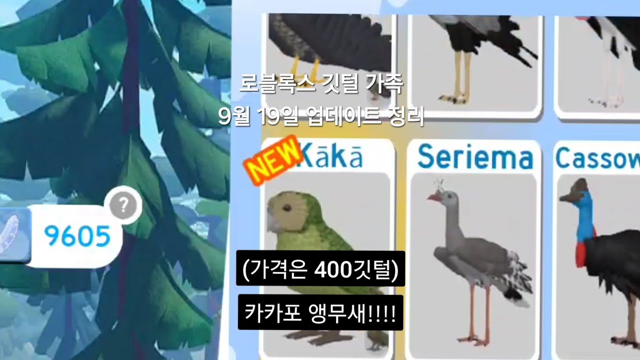 카카포!!!  //  로블록스 깃털 가족 9월 19일 업데이트 정리!!!!!