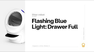 Litter-Robot 4: Flashing Blue Light: Waste Drawer Full
