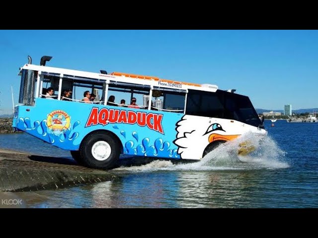 25 Things to do in Surfers Paradise Queensland - Quack'rDuck