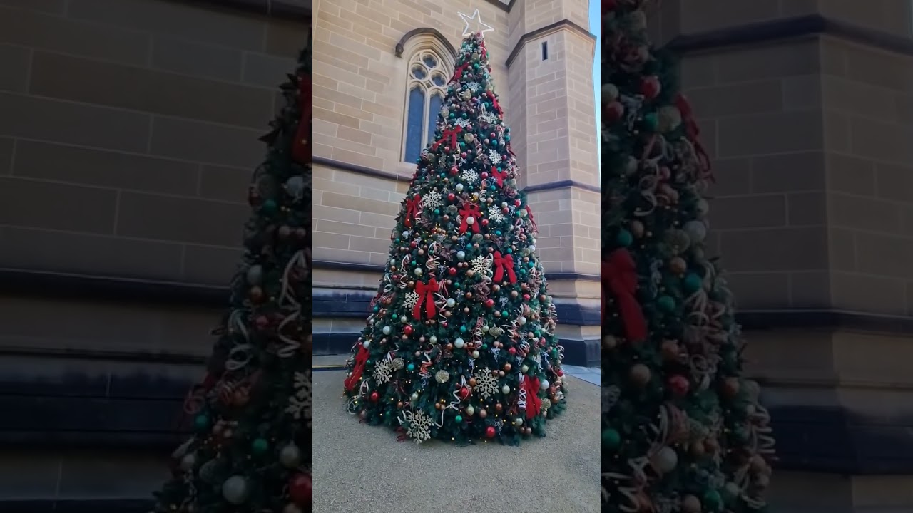 St Mary's cathedral Sydney NSW Australia