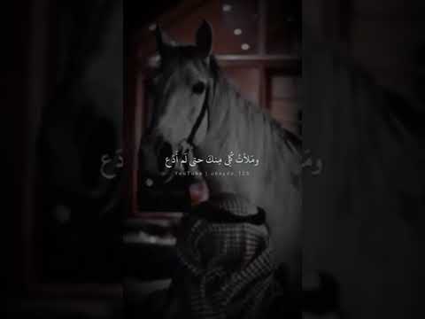 الشيخ خالد الراشد لما عرفت بان قلبي فارغ