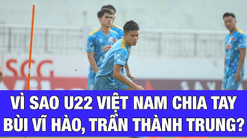 Vì sao U22 Việt Nam chia tay Việt kiều Trần Thành Trung, Bùi Vĩ Hào và Đinh Quang Kiệt?