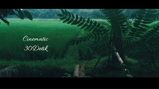 VIDEO CINEMATIC SAWAH 30DETIK ||AURORA RUNWAY
