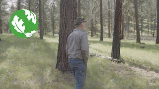Managing Idahos Forests: Mission Possible