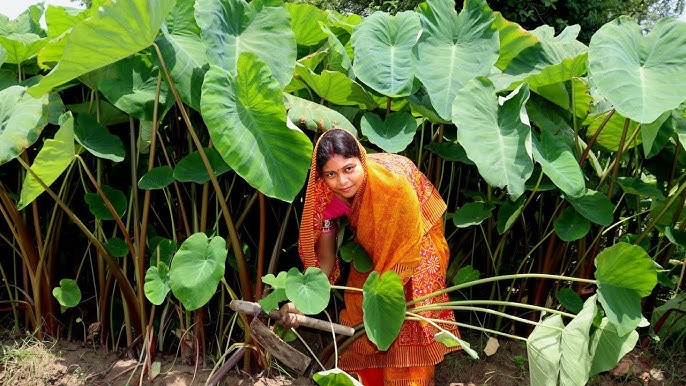 Onanizm haqida onlayn porno kliplar Soqollangan mushuklar porno videolar