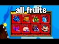 Getting every blox fruit in one hour