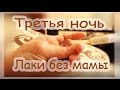 Третья ночь Лаки без мамы