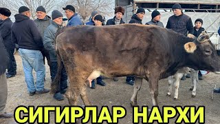 7 января 2024 г АНДИЖОН МАРХАМАТ МОЛ БОЗОРИ СИГИРЛАР НАРХАЛАРИ ANDIJON MARXAMAT MOL BOZORI NARXLARI