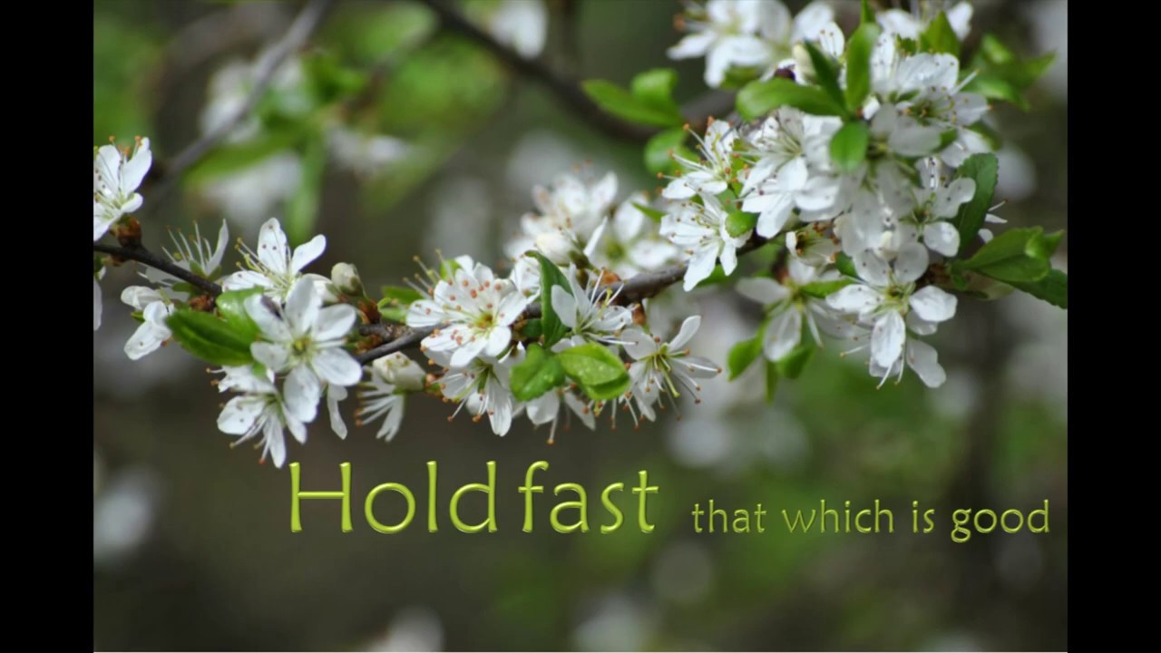 Welcome to Sandwich Technology School