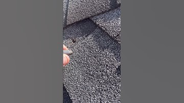 Thumbnail of 😨 Tell me you live in a bad neighborhood without telling me...  #homeowner #homeinspection