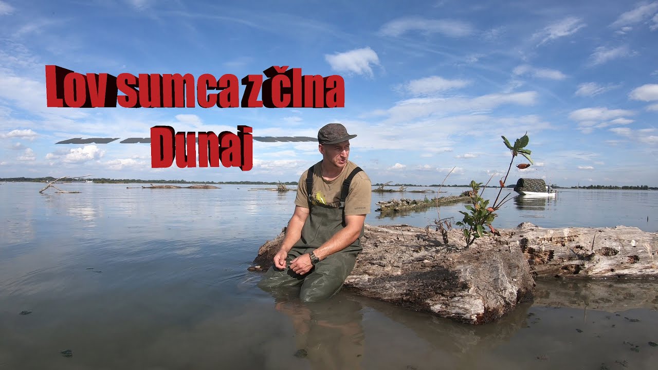 Lov sumca z člna Dunaj