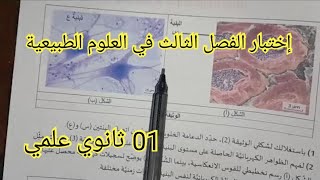 إختبار الفصل الثالث في العلوم الطبيعية السنة الأولى ثانوي علمي 2023