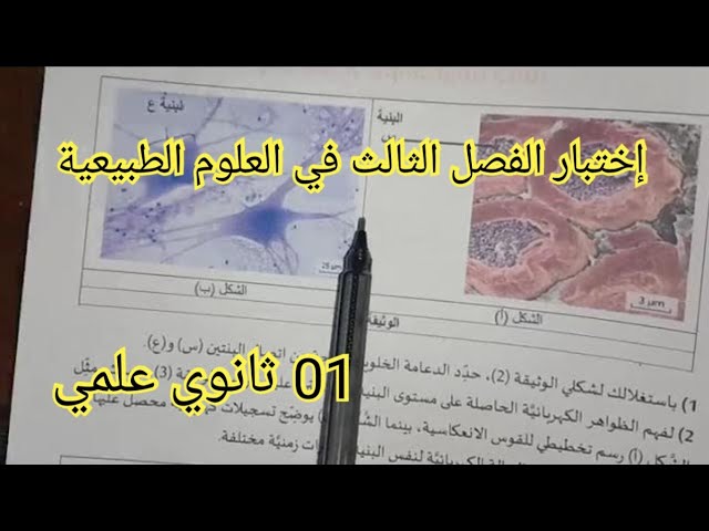 إختبار الفصل الثالث في العلوم الطبيعية السنة الأولى ثانوي علمي 2023
