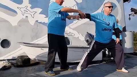 Tai Chi optimum mechanics clip 1 with Lao Shi Damon Bramich