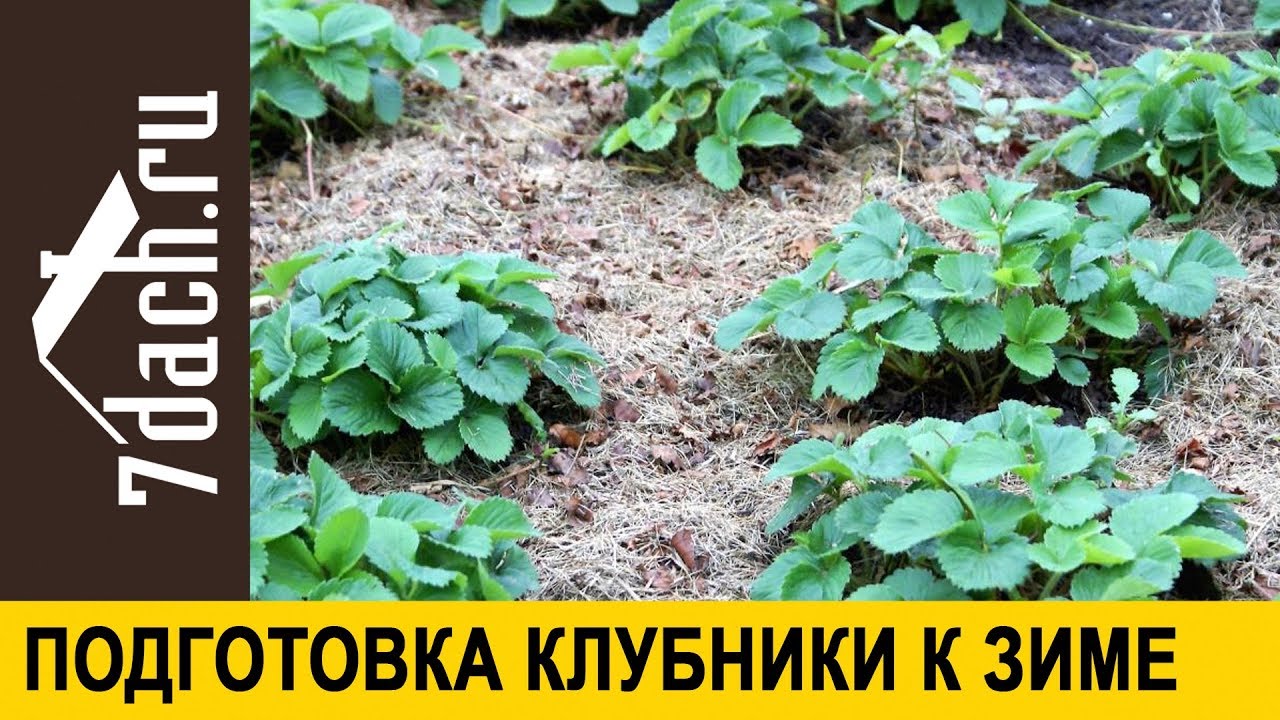 images Бенедикт Камбербэтч и его супруга раскрыли имя своего первенца 30.08.2015 изображения pictures Бенедикт Камбербэтч и его супруга раскрыли имя своего первенца 30.08.2015 изображения
