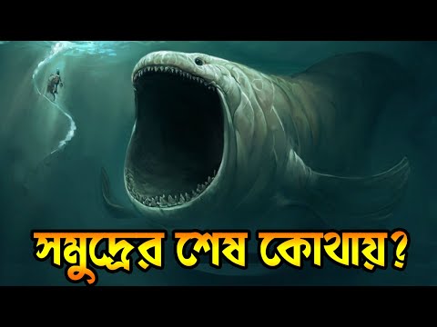 ভিডিও: সমুদ্রের ফেনা কোথা থেকে আসে?