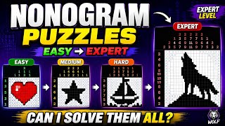Can I Solve Nonogram Puzzles from Easy to Expert