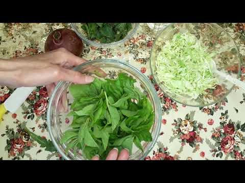 Как повысить гемоглобин? Рецепт салата из сныти и крапивы