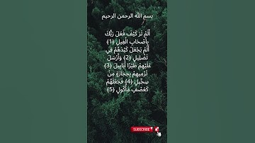 سورة الفيل AZIZ ALILI# CHEIKH 105 #قران_كريم #تلاوة_خاشعة#AL-FIL #SOURAH