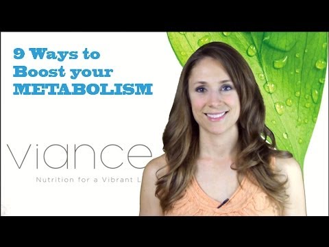 What is Metabolism?