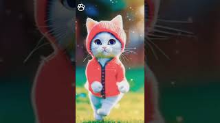 Cute Cat Dancing Video