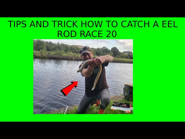 multi species CANAL fishing (eels,roach,perch,bleek) #newbeginingsfishing # fishing #nature 