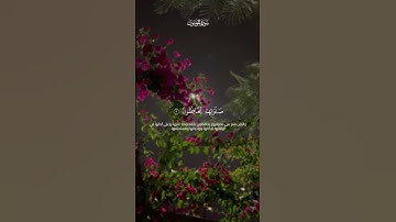 تلاوة جميلة وخاشعة من سورة المؤمنون | محمد صديق المنشاوي