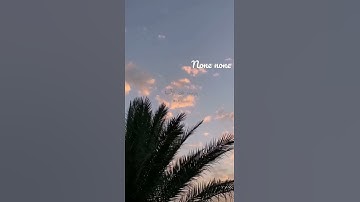 صباح الخير  قرآن كريم آرح مسامعك 😍