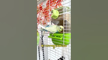 This fully automatic feeder adopts the funnel principle and automatically cuts the feed after ea