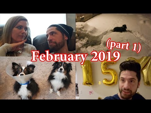 February 2019 - Vlog/Journal (Part 1)