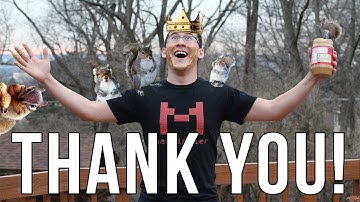 King of the Squirrels