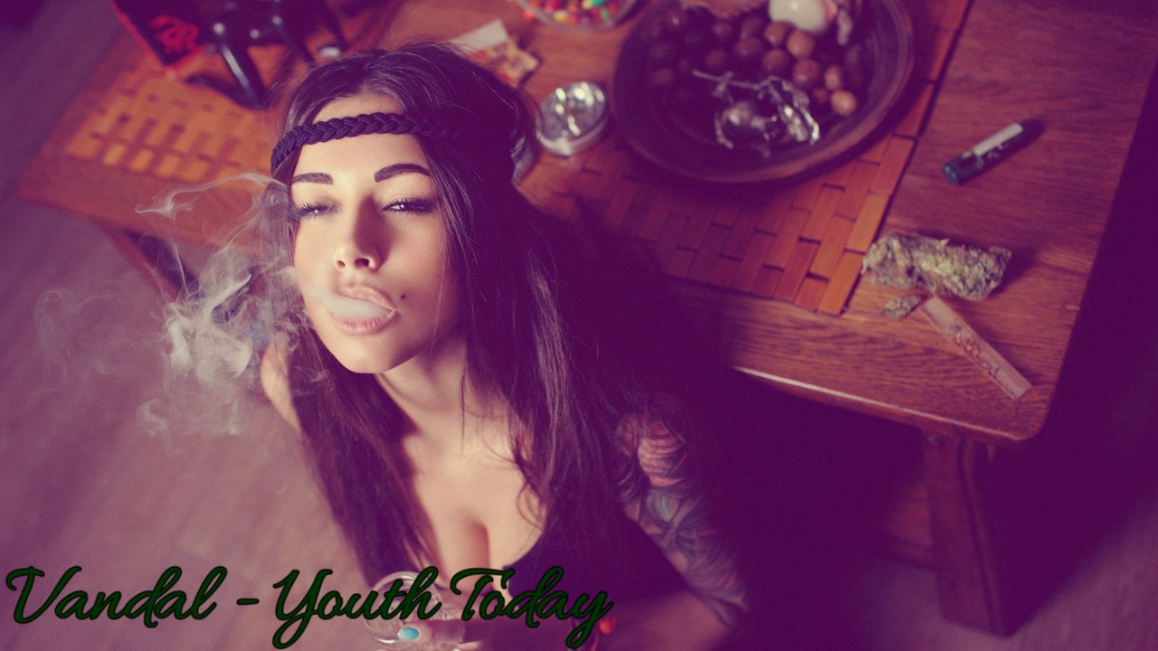 Vandal The Youth Of Today Lyrics
