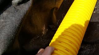 French Drain Man Explains Why Yard Drainage Systems Fail With a Pipe Sock