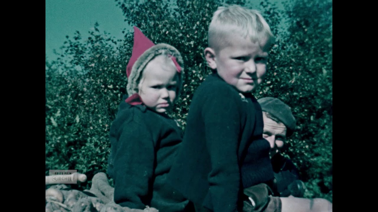 Diverse beelden van het boerenbedrijf, ca. 1960-1965