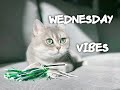 Wednesday vibes songs  acoustic chill songs for relaxing on restless day or lazy day