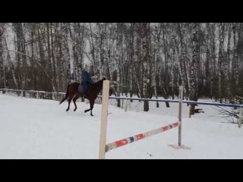 Верховая езда галопом