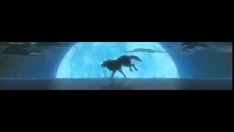 maaya sakamoto - gravity (sub español + lyrics)