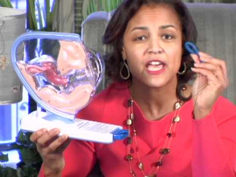 bankable-health-tips-episode-6-the-ring-&-the-patch