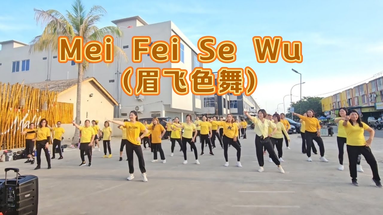 Mei Fei Se Wu (眉飞色舞) Line Dance - Beginner Level