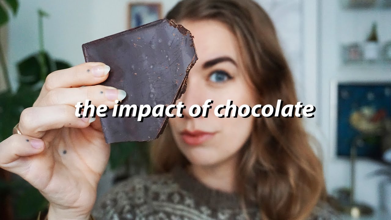 WHAT YOU NEED TO KNOW ABOUT CHOCOLATE // environmental and social