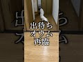 ママとなんとしてでも一緒にトイレへ入りたがるオウム#shorts