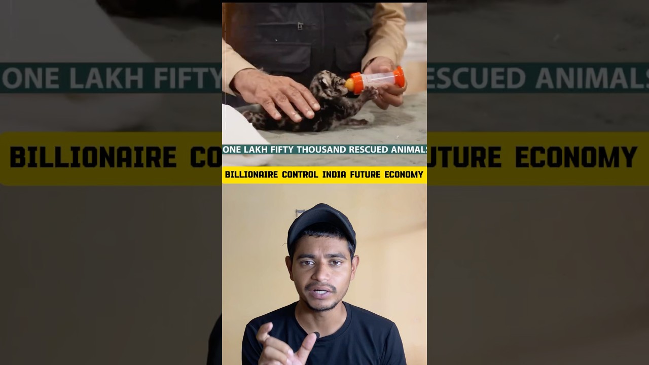 Billionaire control India future economy